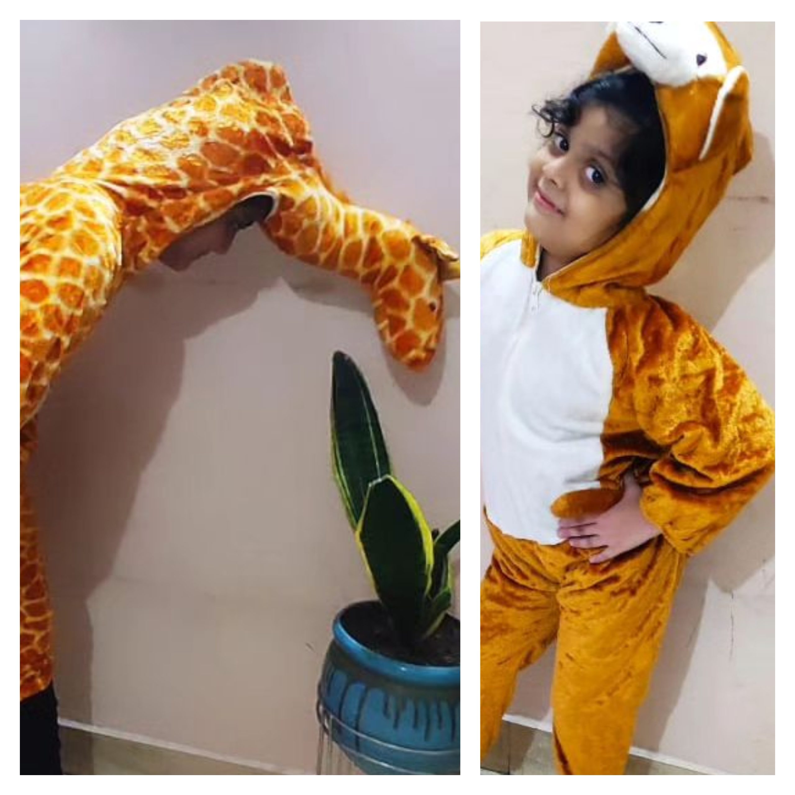Animal Dresses Manufacturer, Exporter, and Rental Services